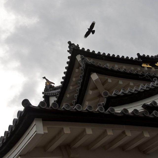 Hikone Castle Roof with eagle in sky (photo: Samuel/flickr)