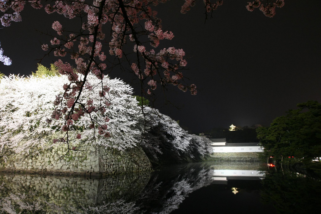 Castle Hikone at night