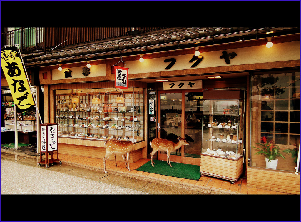 Miyajima deer shopping