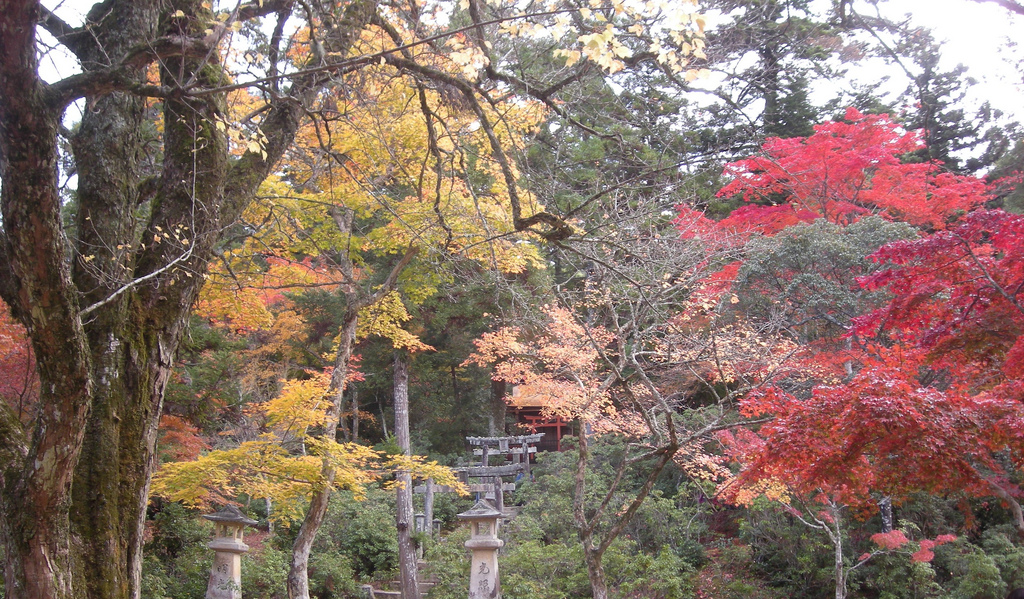 Miyajima fall colours