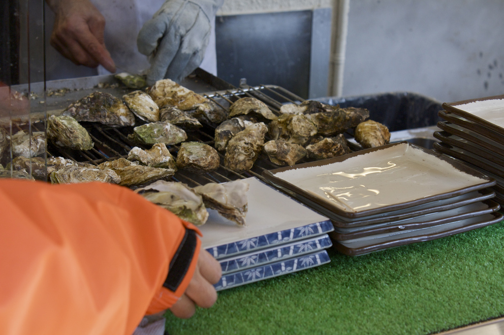 Grilled oysters (yakigaki)