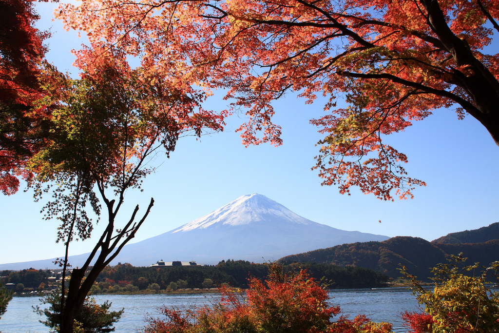 Mt. Fuji in Autumn