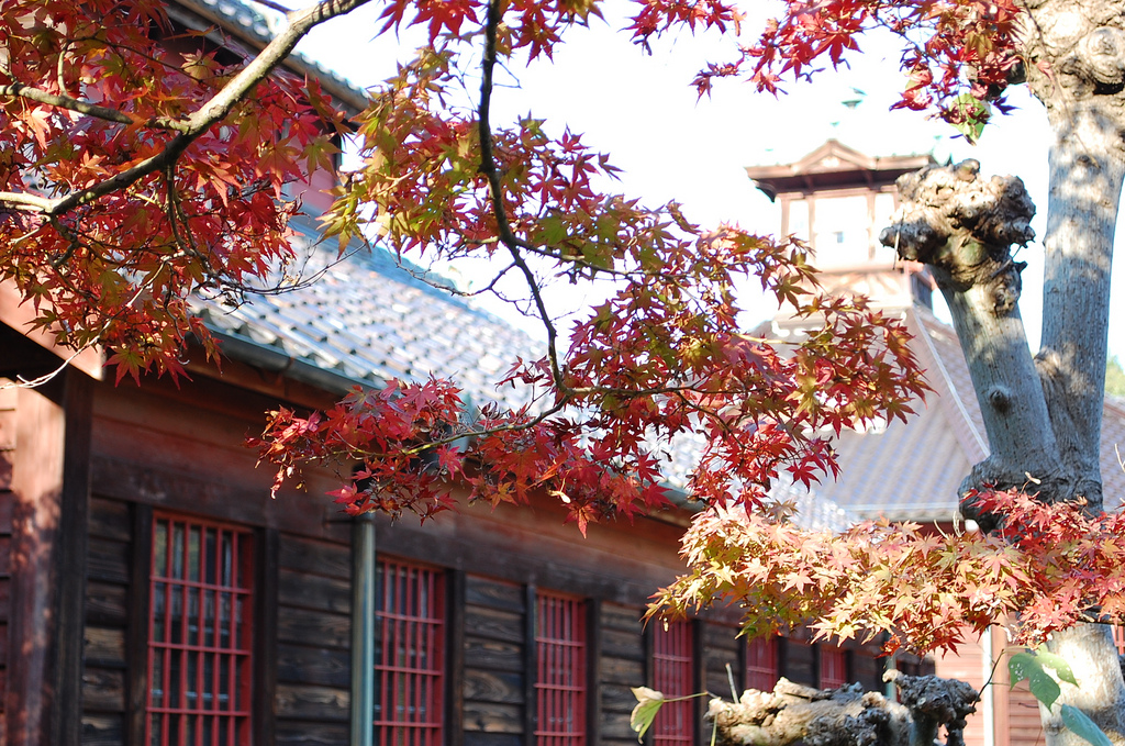 Meiji Mura in autumn
