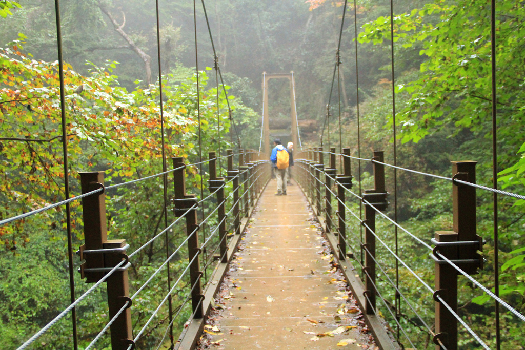  Mt.Takao bridge