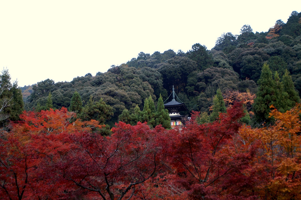 Eikando Zenrinji Temple