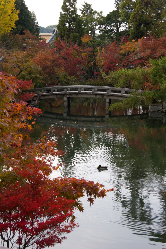 Eikan-dō Zenrin-ji Temple, Kyoto