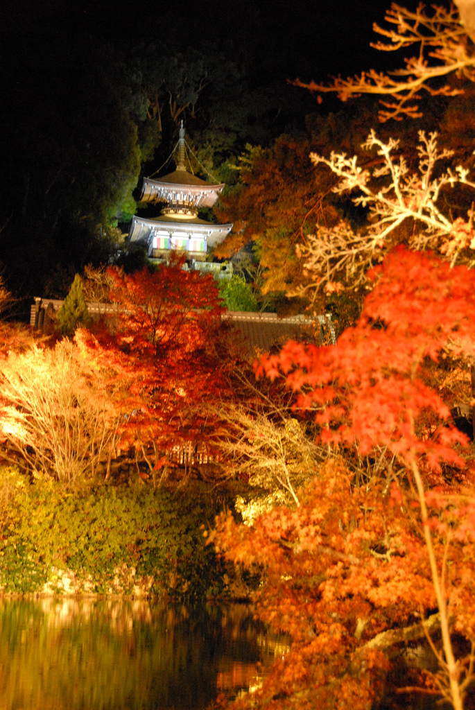 'Light Up' at Eikan-dō Zenrin-ji Temple, Kyoto