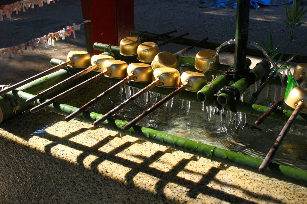 temple cleansing