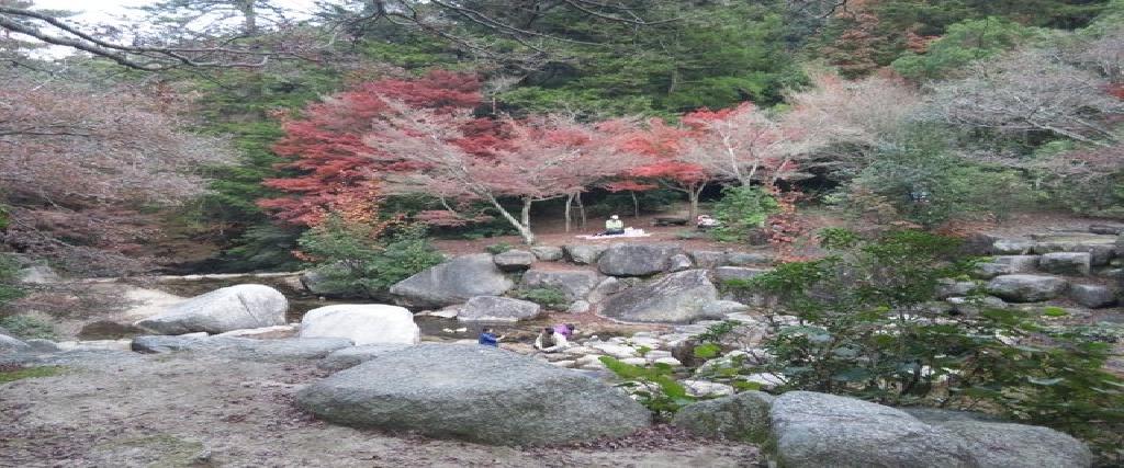 小石川植物園