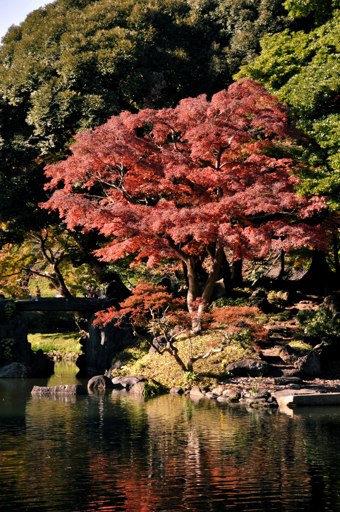 Koishikawa Koraku-en