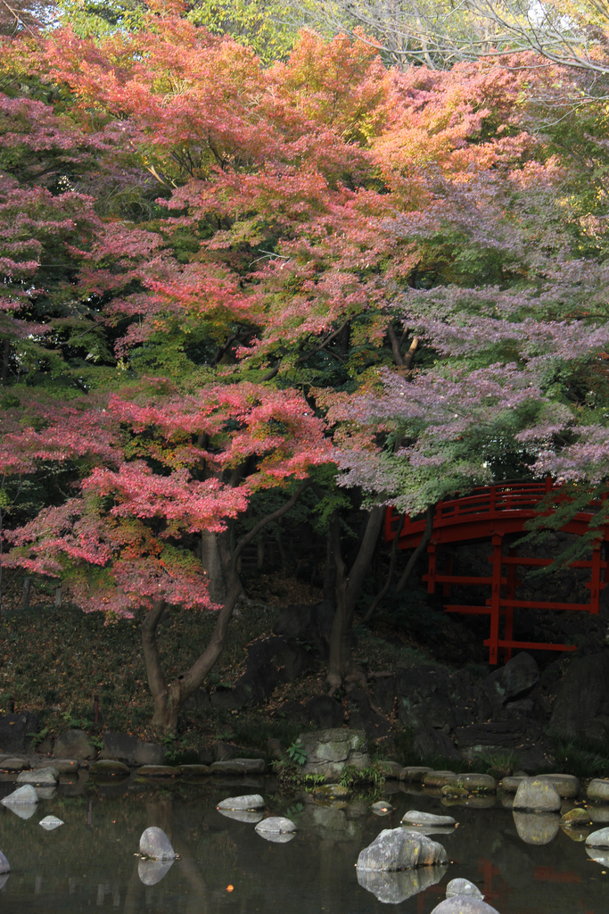 小石川後楽園　  円月橋