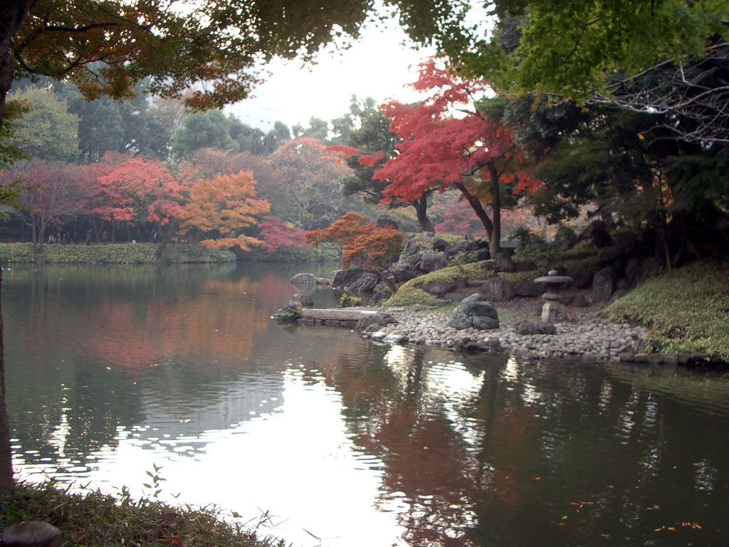 japanese garden