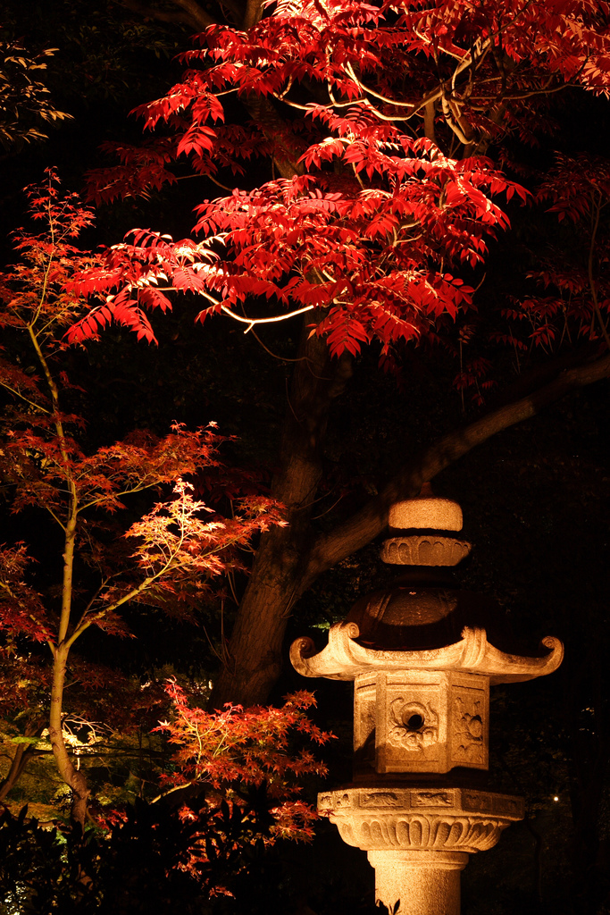 Garden Lantern 六義園