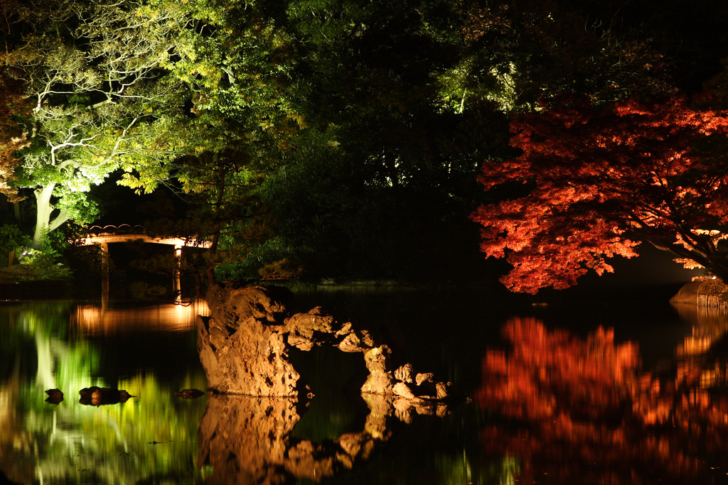 Colored Lighting Rikugien Park六義園
