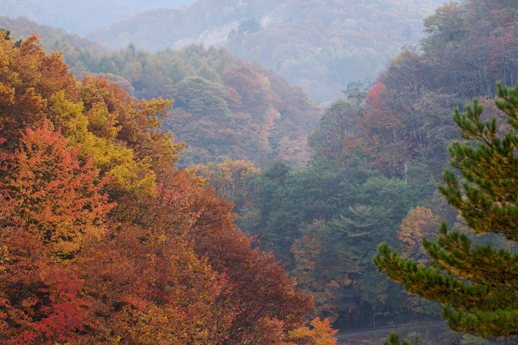 Hachimantai in Autumn (photo: jasohill/flickr)
