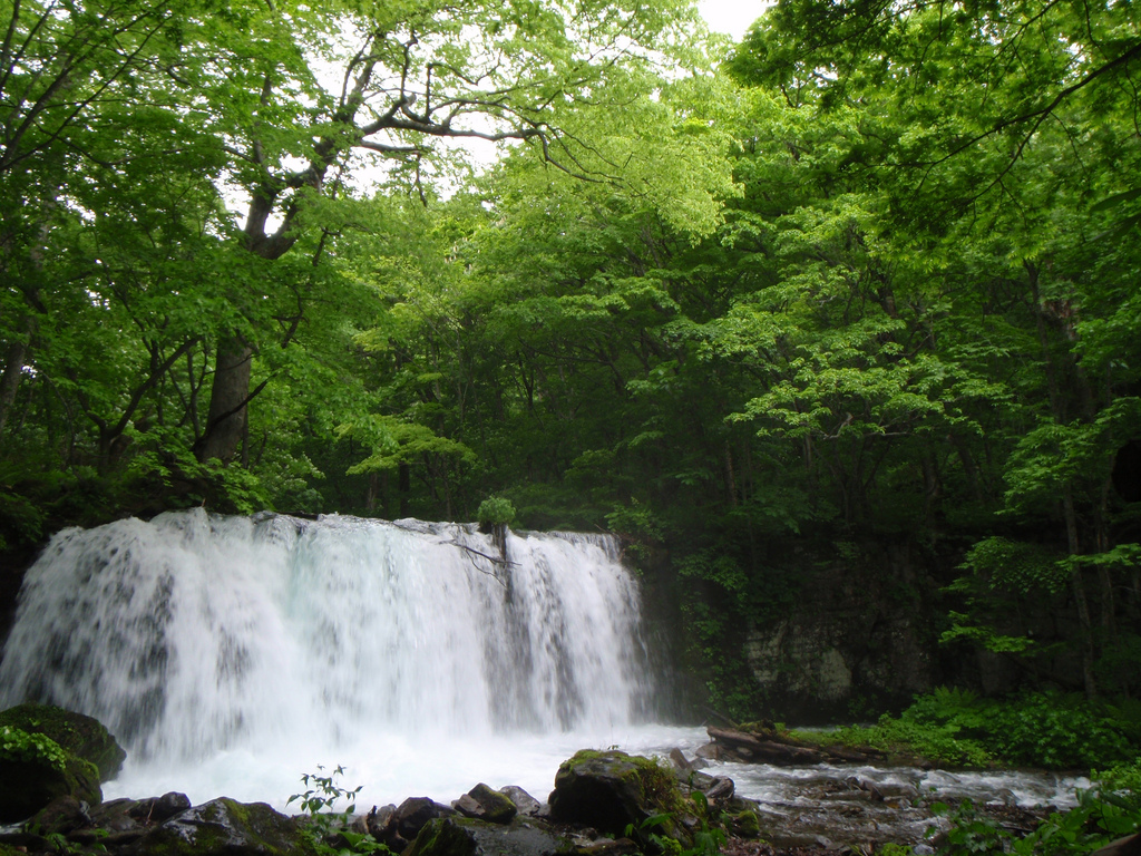 Choshi Big Fall (銚子大滝)