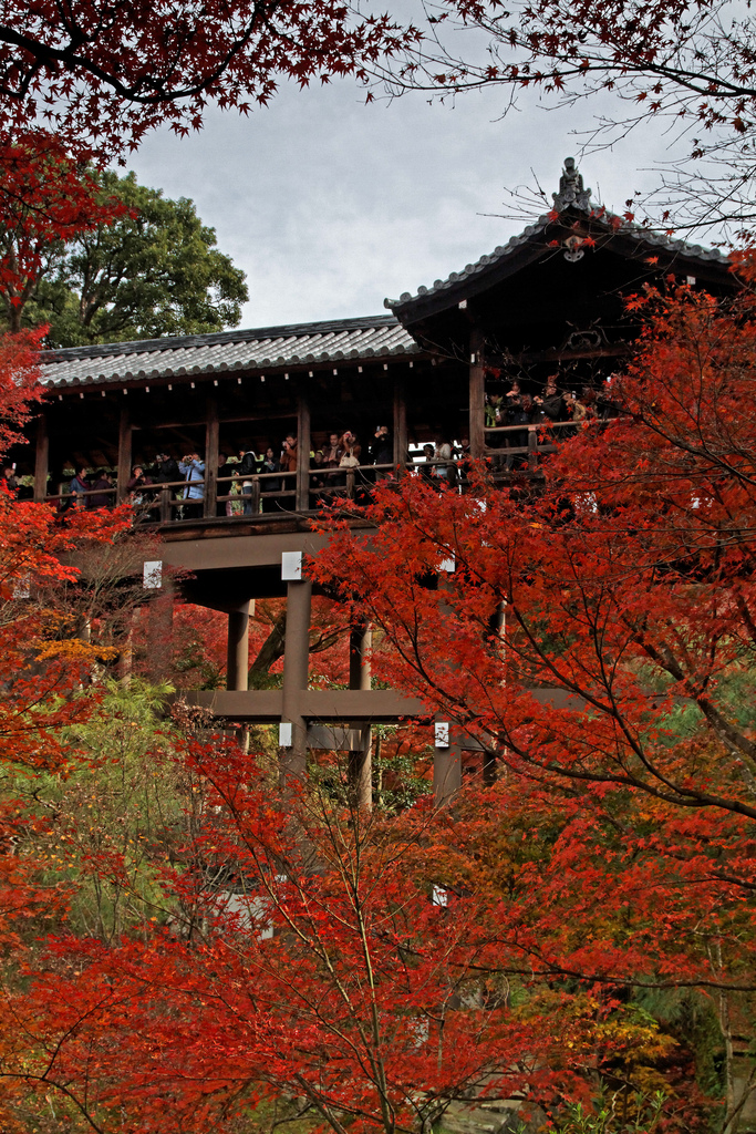 Tofuku-ji