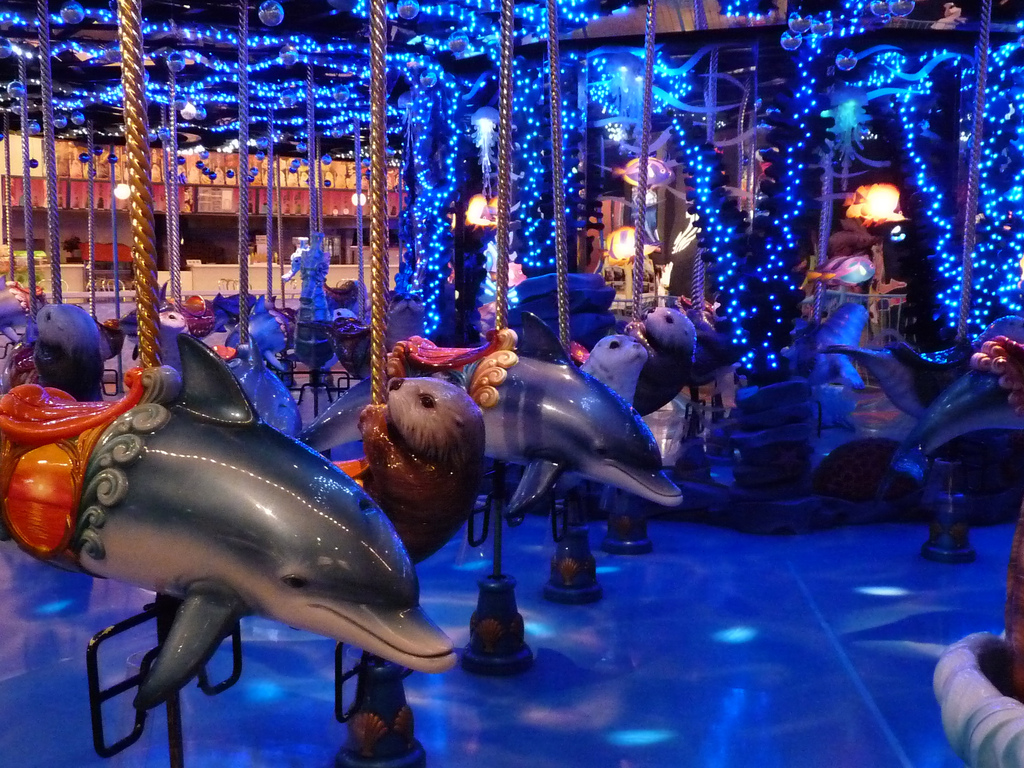 Dolphin Party @ Epson Aqua Aquarium