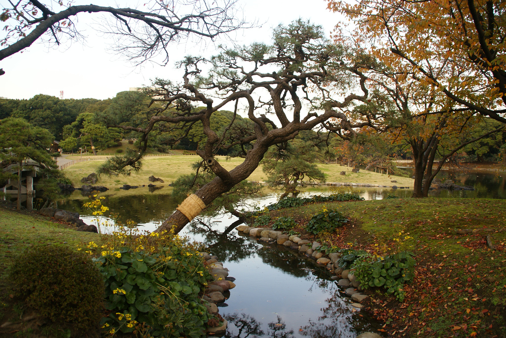 Hama-rikyū Gardens (浜離宮恩賜庭園)