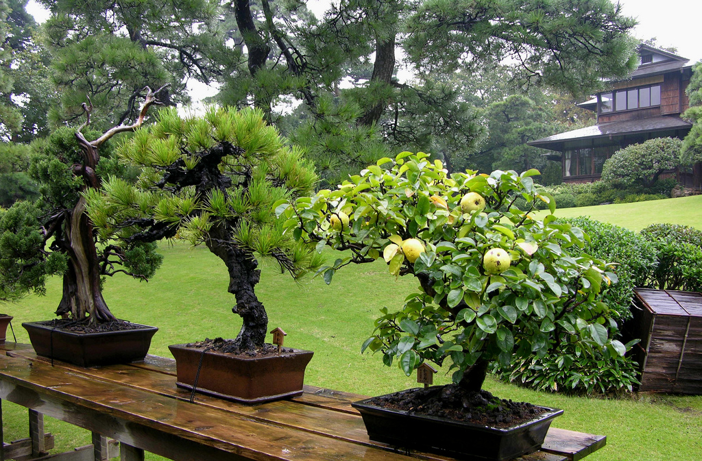 Happoen Garden Tokyo Japan