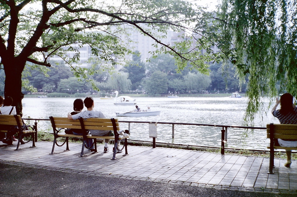 池の恋人達 / pond of love @ Ueno park