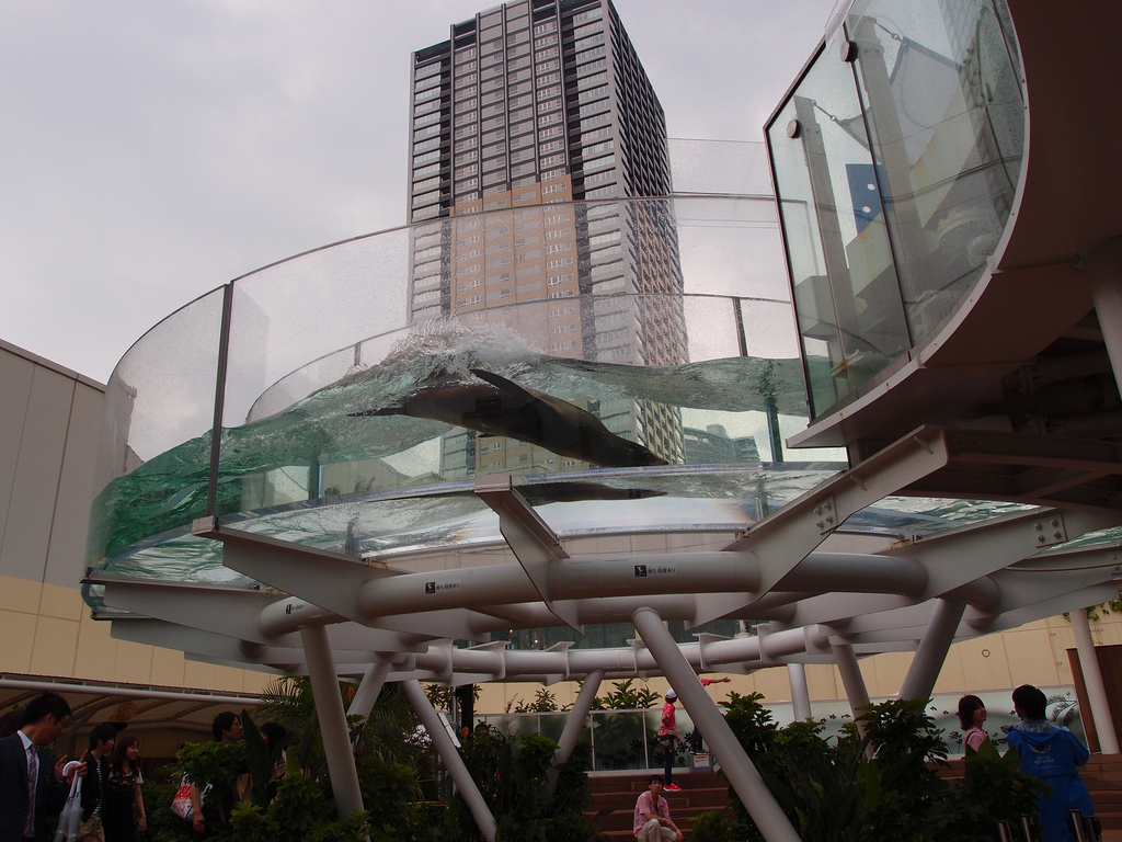 Marine Garden @ Sunshine Aquarium @ Ikebukuro