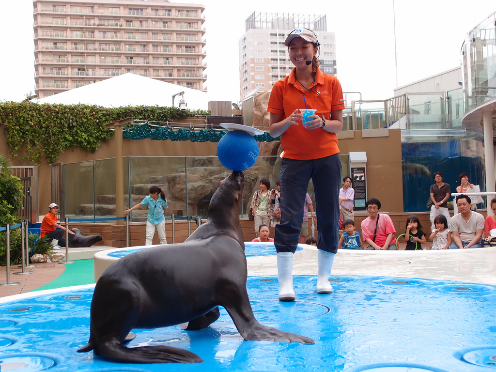 Sea Lion Performance @ Sunshine Aquarium @ Ikebukuro