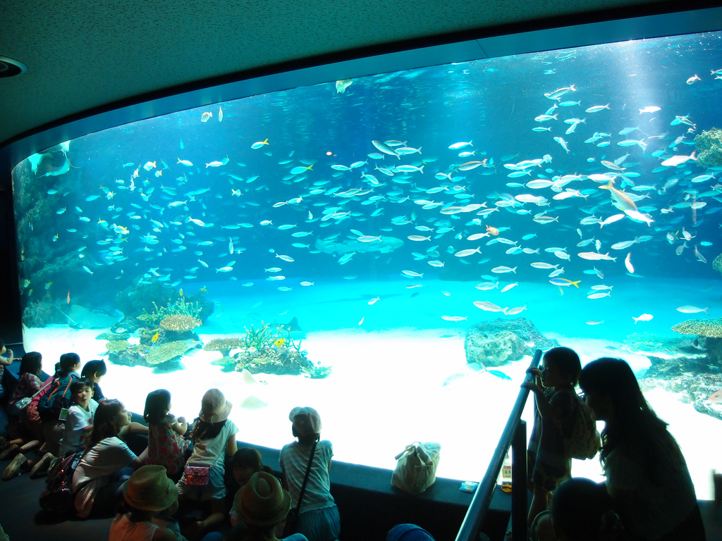 Sunshine Aquarium @ Ikebukuro