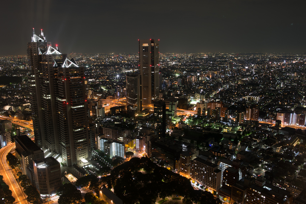 A view from Tokyo Metropolitan Government Building Observation #3