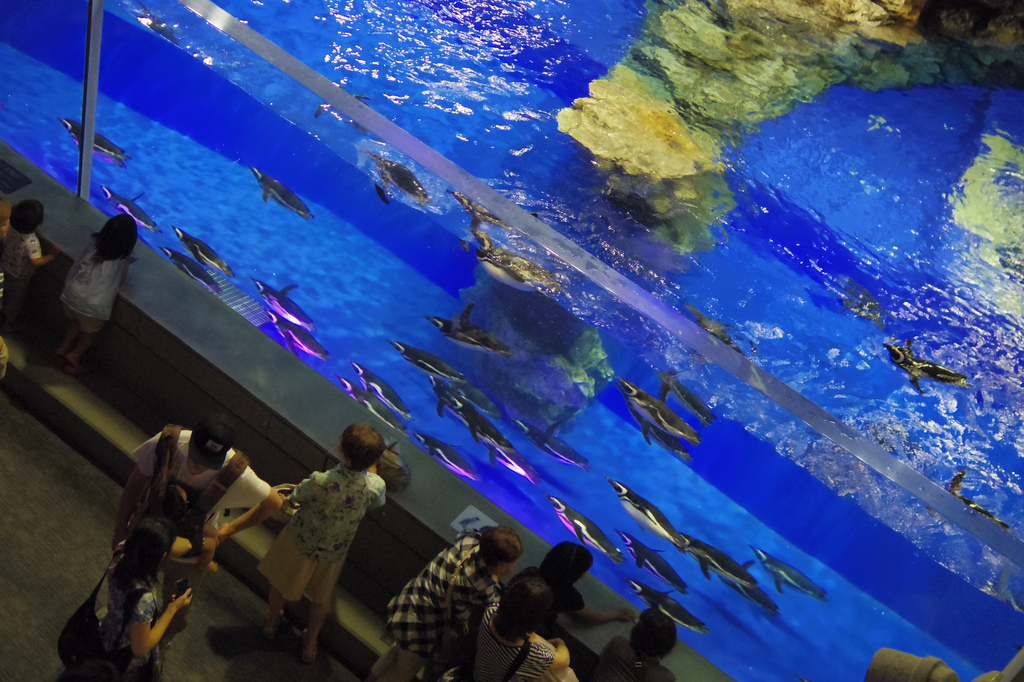 すみだ水族館 SUMIDA AQUARIUM