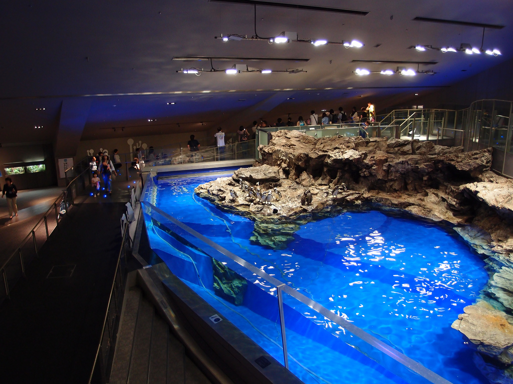 Sumida Aquarium @ Tokyo Skytree Town