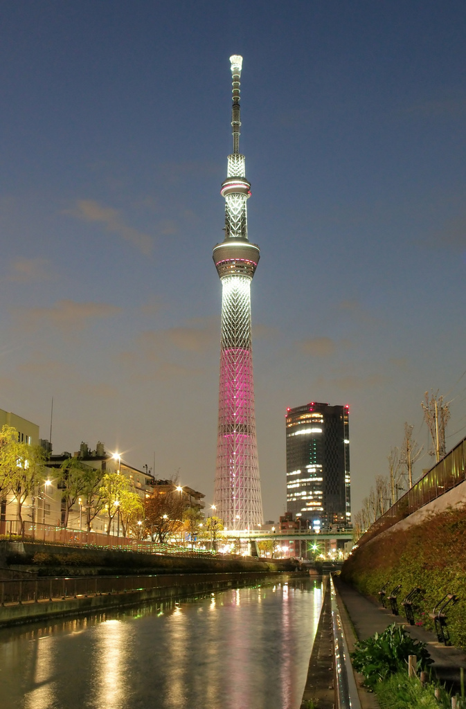 Tokyo Skytree in the sunset light. 夕暮れの東京スカイツリー