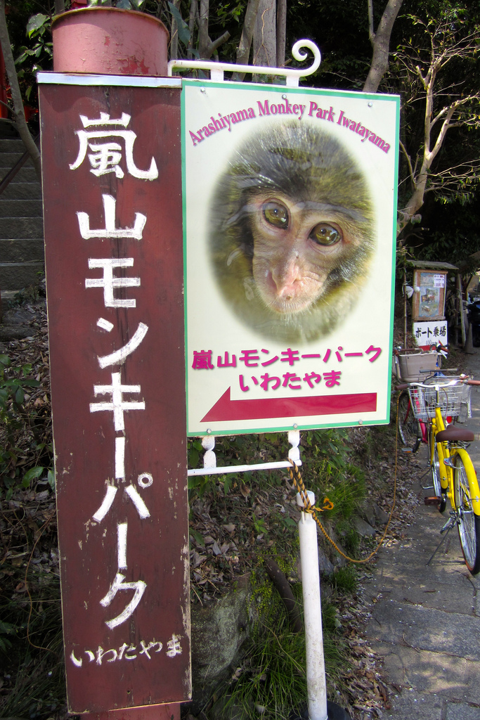 Iwatayama Monkey Park