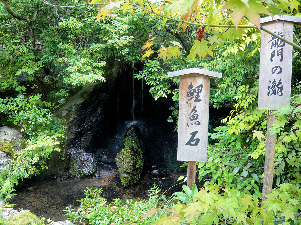 Waterfall - Kinkakuji