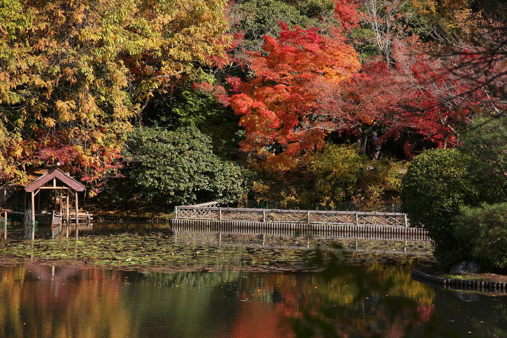 Ryoan-ji pond and gardens