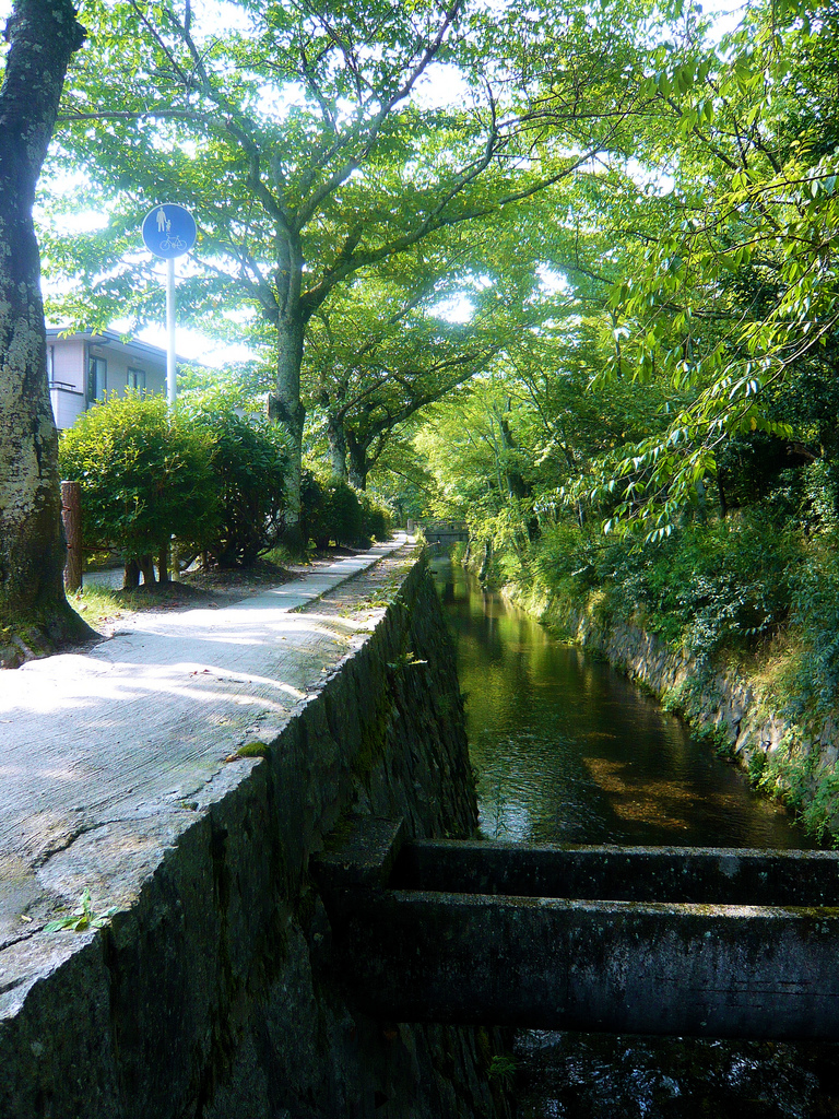 Philosopher's Walk -  Tetsugaku no michi