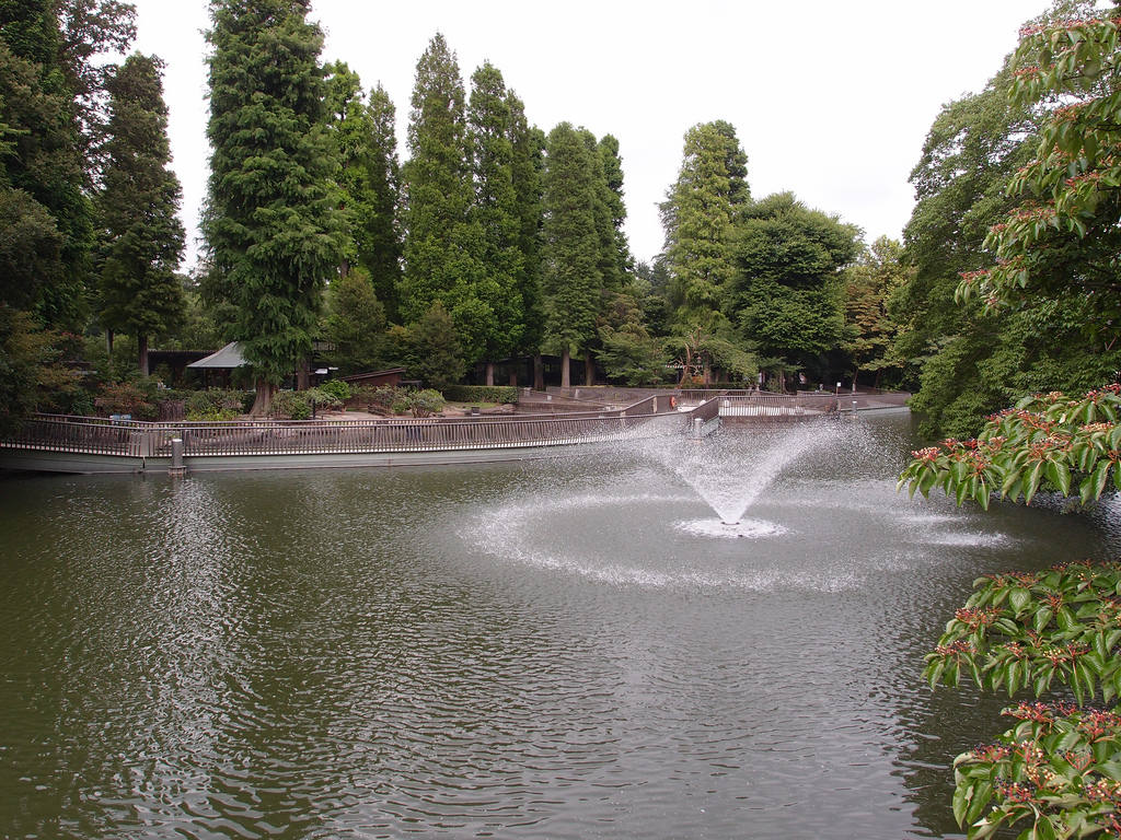 Inokashira Park @ Kichijoji