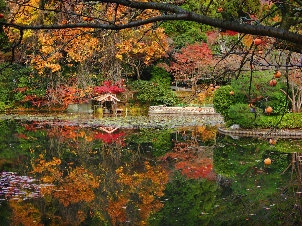 at Ryoan-ji Temple