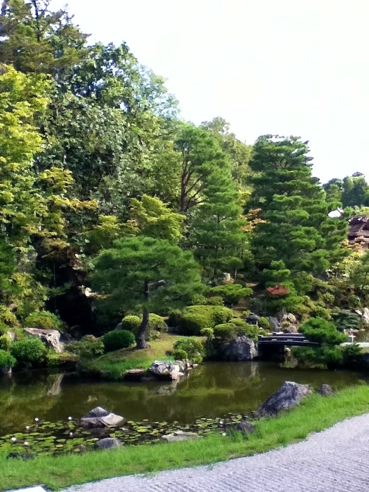 Ninna-ji, Kyoto. / 京都 仁和寺