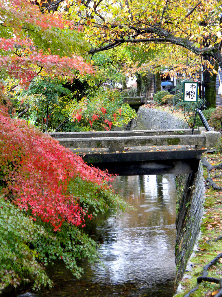 Philosopher's Path, Kyoto