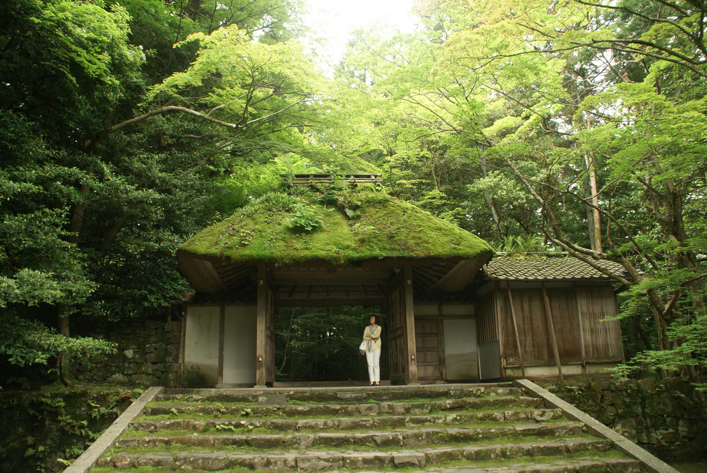 Honen-in moss entrance