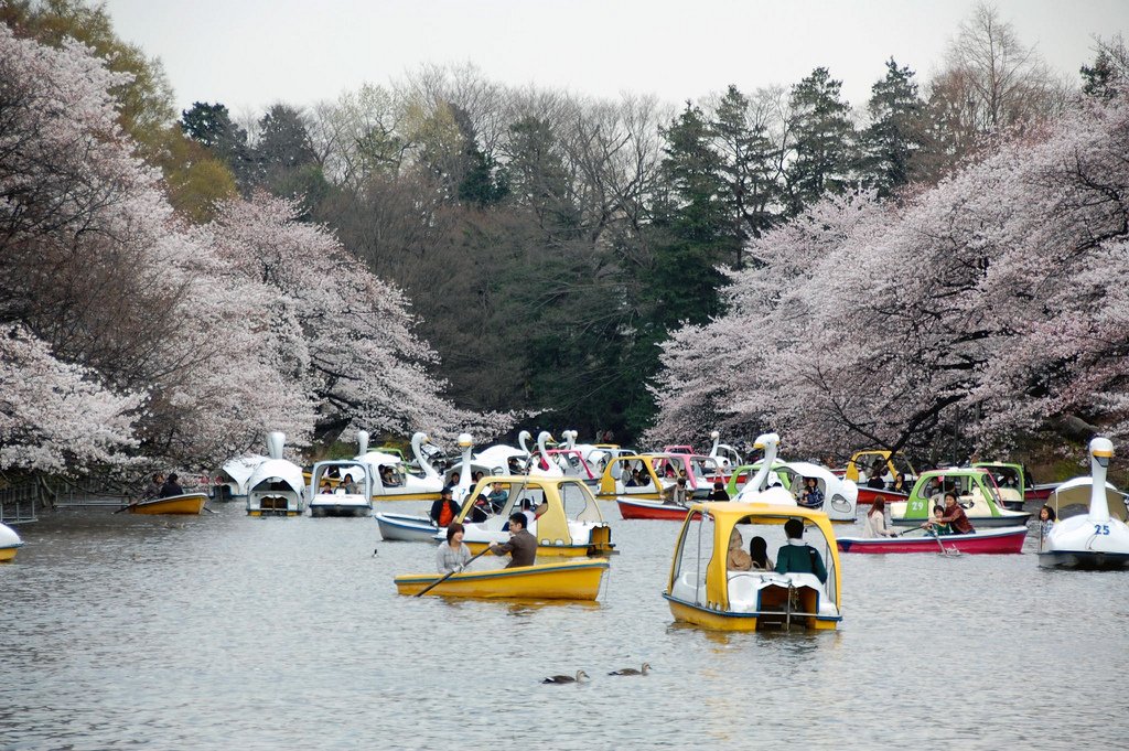 Inokashira Park boats