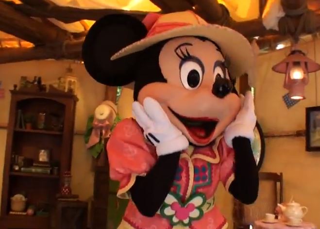 Minnie Mouse at Mickey & Friends' Greeting Trails in DisneySea