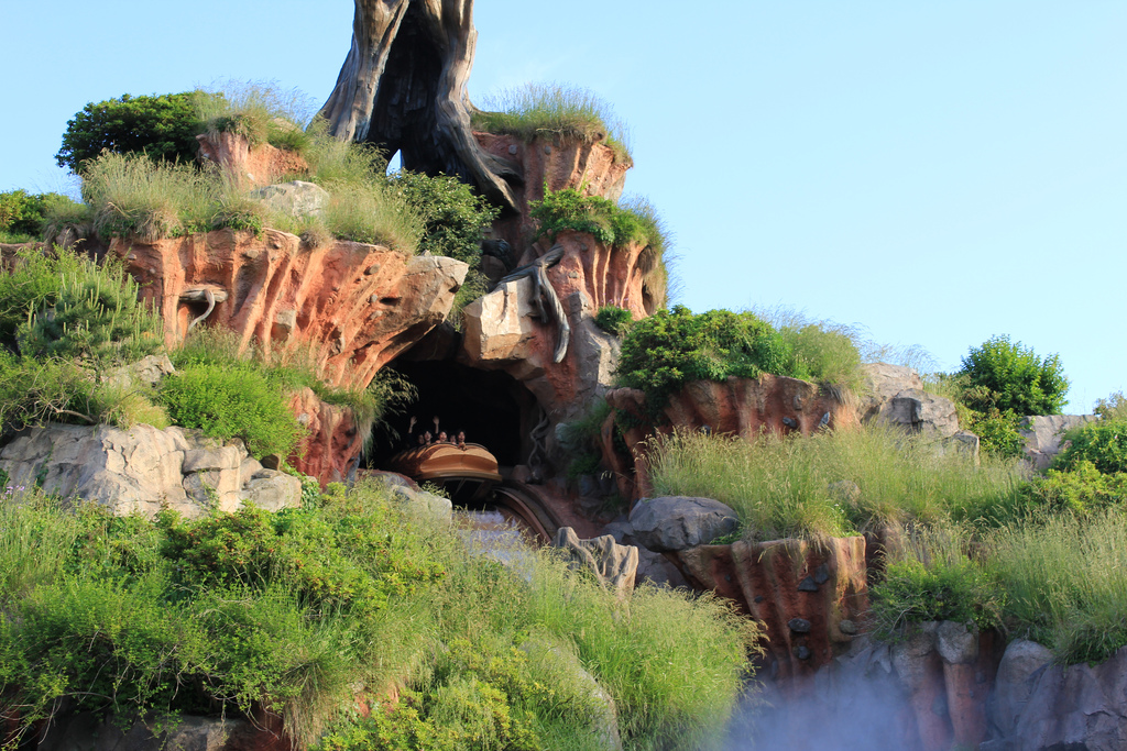 Splash Mountain at Disneyland Tokyo