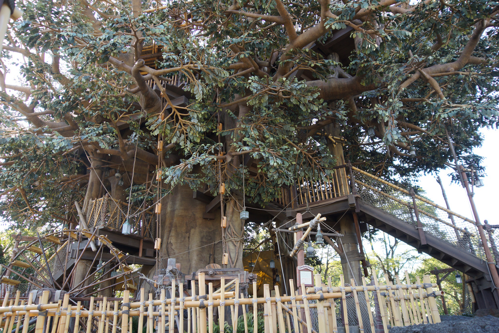 Swiss Family Treehouse at Tokyo Disneyland スイスファミリー・ツリーハウス 