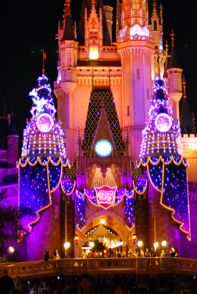 Tokyo Disneyland Castle at Night