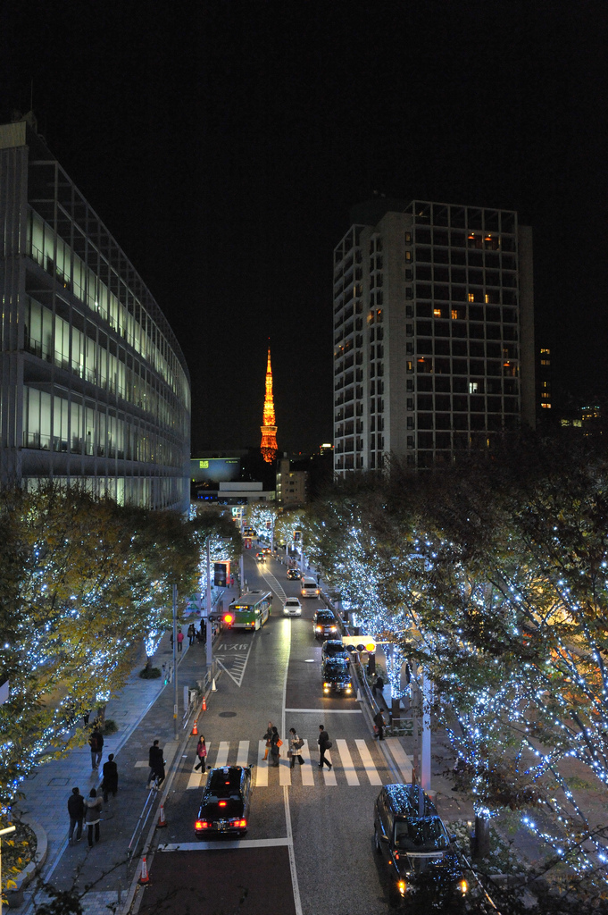 Tokyo Tower from Roppongi Hills