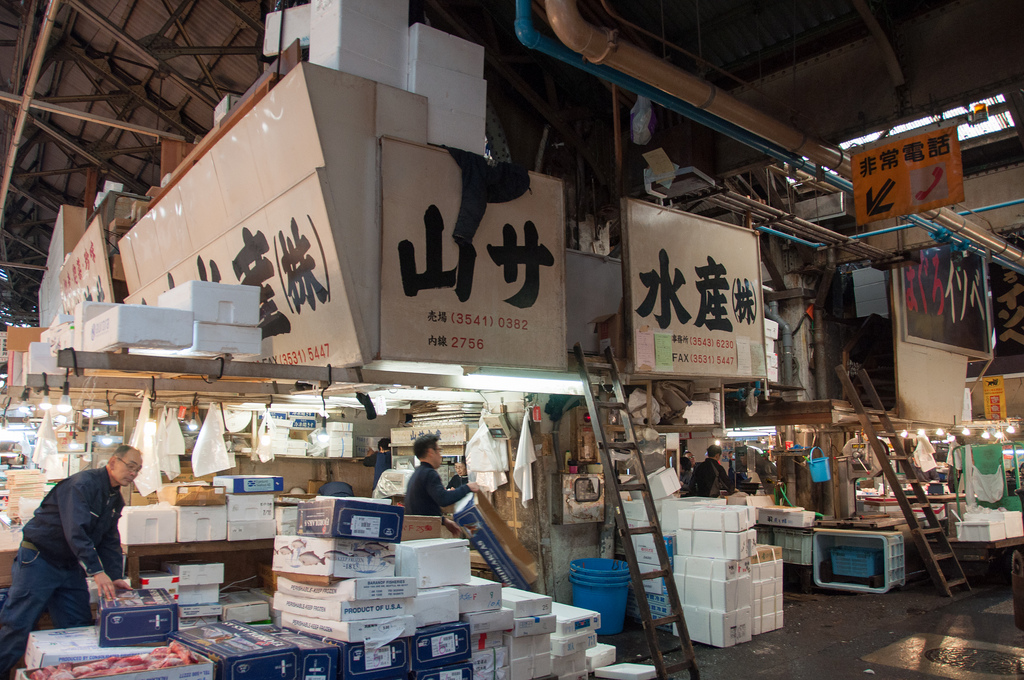 inside the Tsukiji Fish Market
