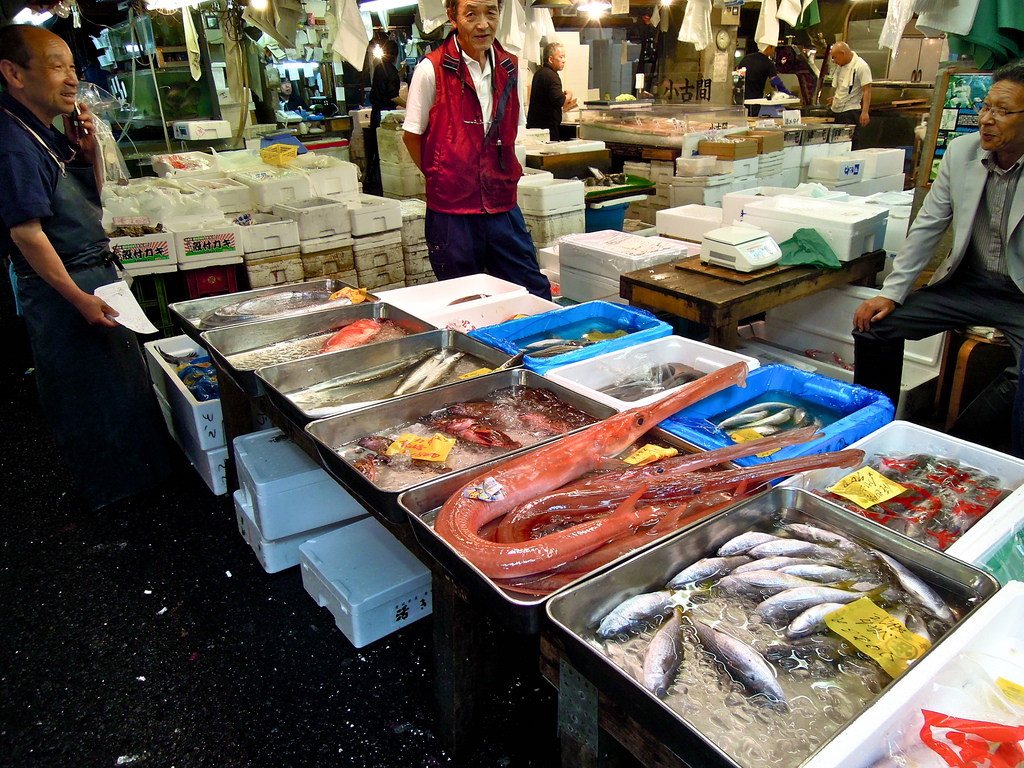 Tsukiji Fish Market Stall selling a variety of fish