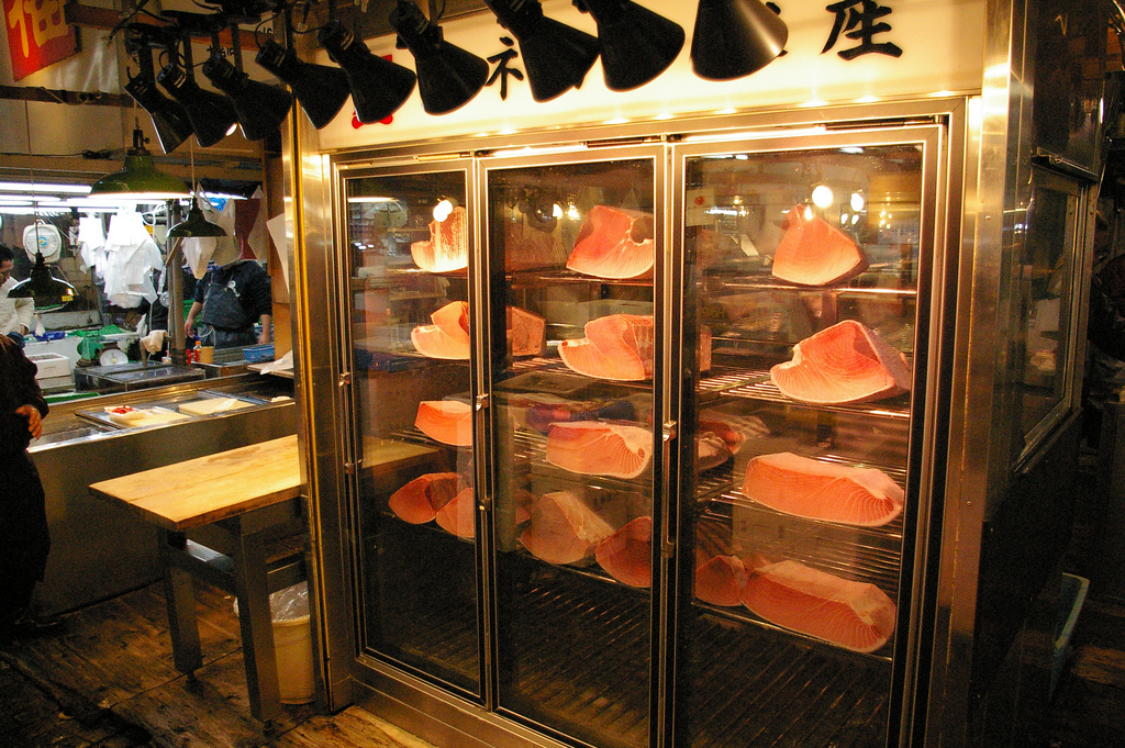 Tokyo’s Tsukiji Fish Market yummy freezer 